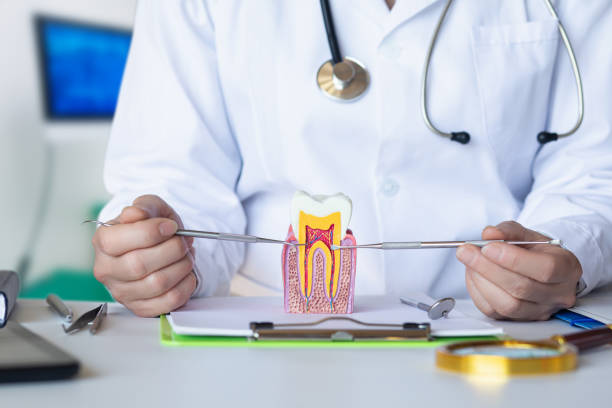 Best Emergency Dental Extractions in Lavaca, AR